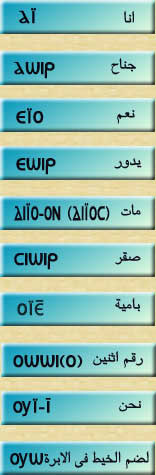 �jI�A ӯ ��b�A �z�